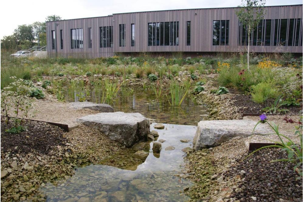 Die Naturschutzprojekte des Jahres 2024 kommen aus Kalletal, Bad S&auml;ckingen und L&uuml;neburg!